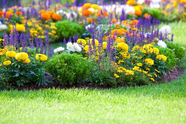 Flower Bed Maintenance in Summerfield