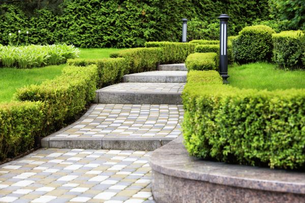 Backyard Remodeling in Summerfield
