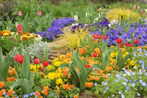 Garden Renovation in Summerfield