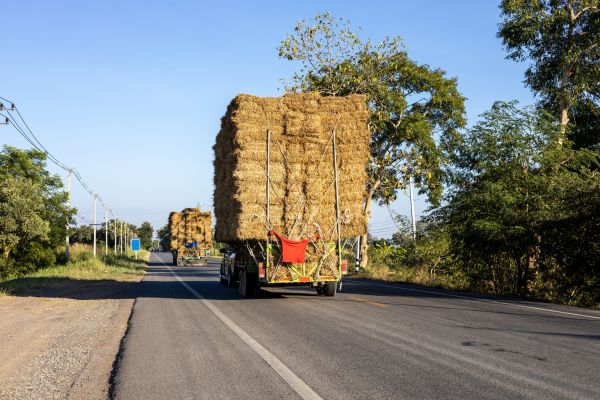 Pine Straw Delivery in Summerfield
