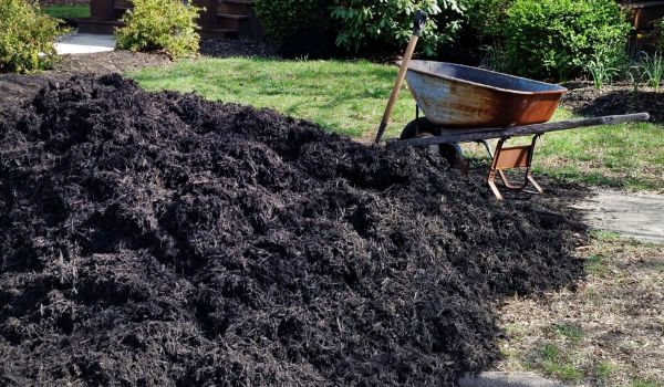 Black Mulch Delivery in Summerfield