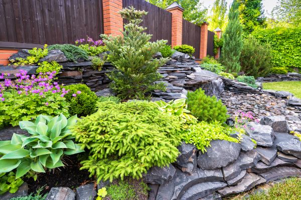 Landscape Remodeling in Summerfield