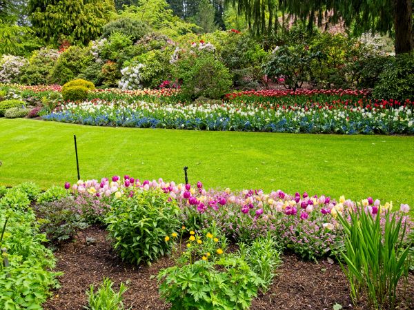 Residential Landscape Design in Summerfield