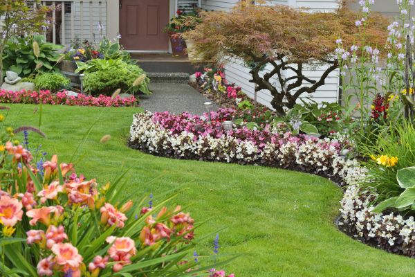 Perennial Landscaping in Summerfield