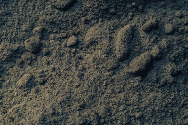 Loam Delivery in Summerfield