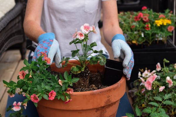 Plant Care Service in Summerfield