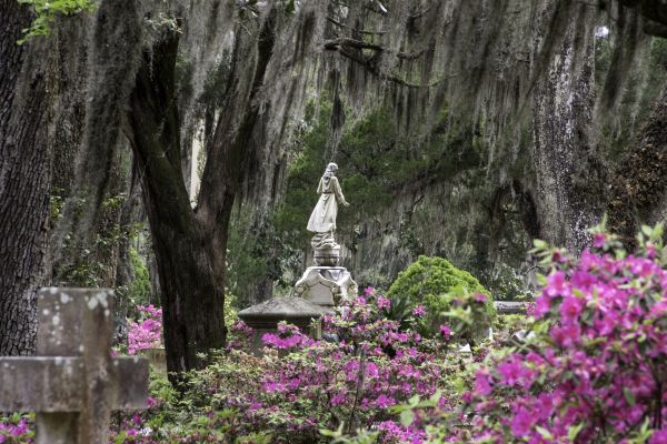 Cemetery Landscaping in Summerfield