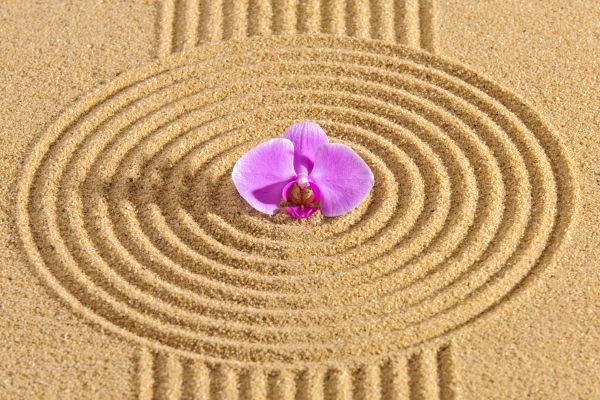 Sand Garden Landscaping in Summerfield