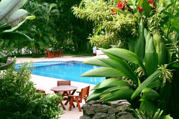 Pool Area Landscaping in Summerfield