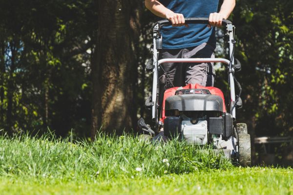 Garden Trimming Service in Summerfield