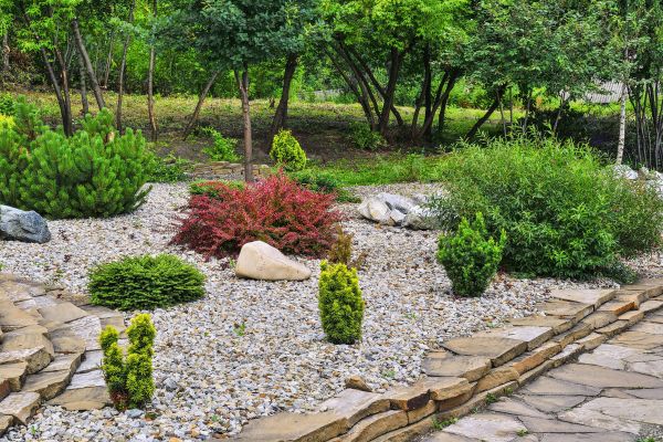 Hardscape Landscaping in Summerfield