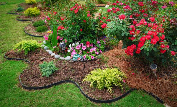 Floral Landscaping in Summerfield
