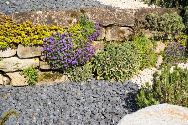 Landscaping Rocks Installation in Summerfield