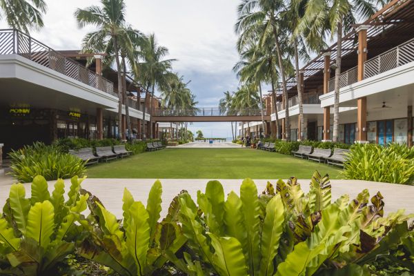 Commercial Lawn Renovation in Summerfield