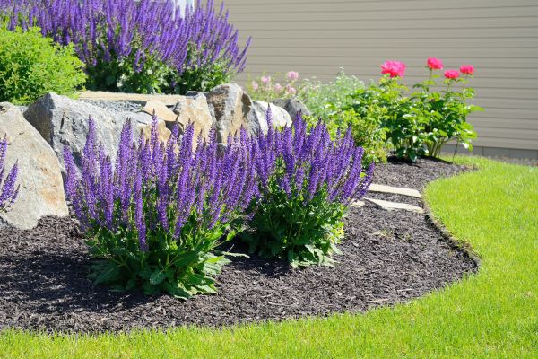 Landscape Planting Service in Summerfield