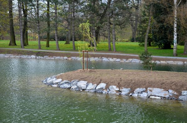 Pond Landscaping Service in Summerfield