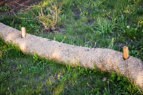 Wattle Installation in Summerfield