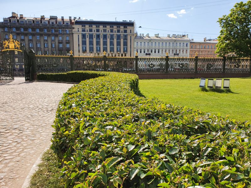 Privacy Shrub Planting